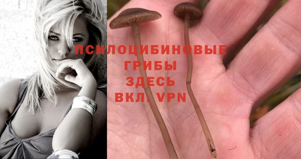 ПСИЛОЦИБИНОВЫЕ ГРИБЫ Белоозёрский