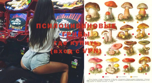 ПСИЛОЦИБИНОВЫЕ ГРИБЫ Белоозёрский