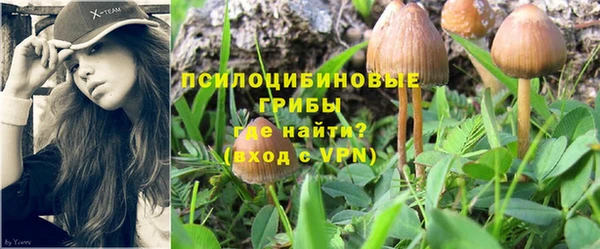 синтетический гашиш Богородск