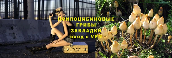 spice Белокуриха