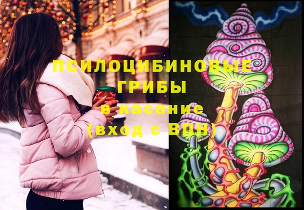 ПСИЛОЦИБИНОВЫЕ ГРИБЫ Белоозёрский