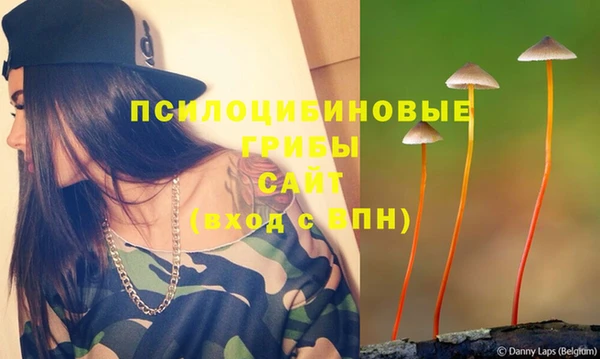 синтетический гашиш Богородск