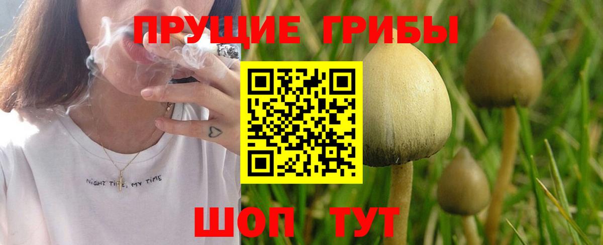 Галлюциногенные грибы GOLDEN TEACHER  Галлюциногенные грибы GOLDEN TEACHER  Улан-Удэ  Вход с VPN 